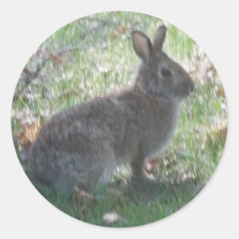 幸福うさぎ ラウンドシール