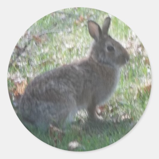 幸福うさぎ ラウンドシール (正面)