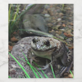 幸福なカエル ワインラベル (シングルラベル)