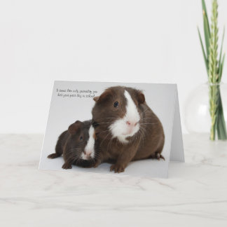 幸福な卒業 カード