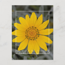 幸福な黄色の花 – あなたを願う ポストカード