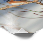 幸福のブルーバードオ感動的ープニング8x10 フォトプリント (角)