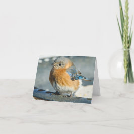 幸福のブルーバード サンキューカード