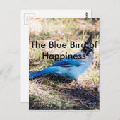 幸福の青い鳥 ポストカード (正面/裏面)