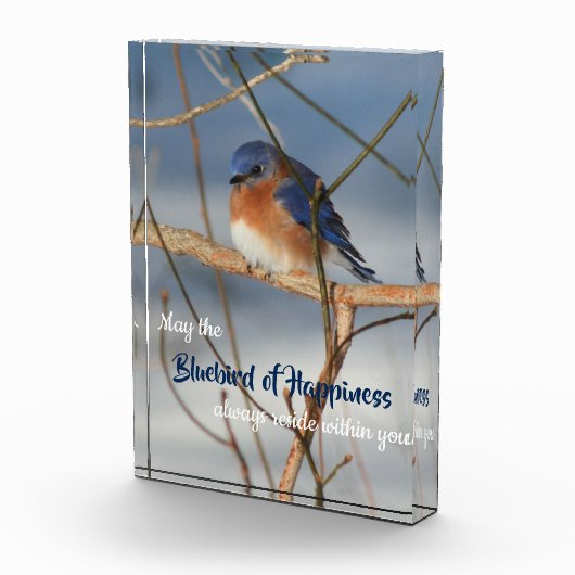 幸福の青感動的鳥 フォトブロック (右)