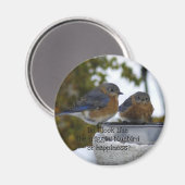 幸福の青鳥コミカル マグネット (正面/裏面)