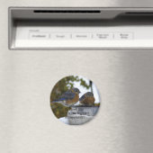 幸福の青鳥コミカル マグネット (インサイチュ (食洗機))