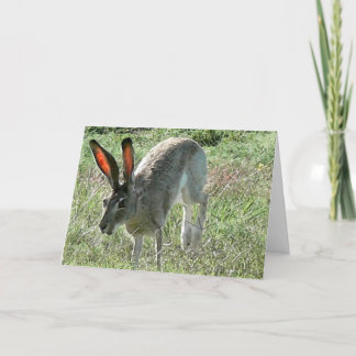 幸福は旅である カード