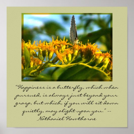 幸福は蝶の額縁のプリント ポスター (正面)