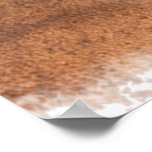 幸福は馬に愛されている ポスター (角)