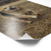 幸福 フォトプリント            (角)