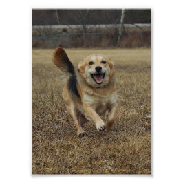 幸福 フォトプリント