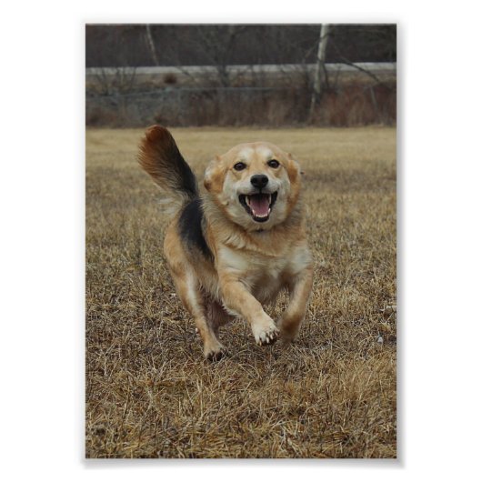 幸福 フォトプリント            (正面)