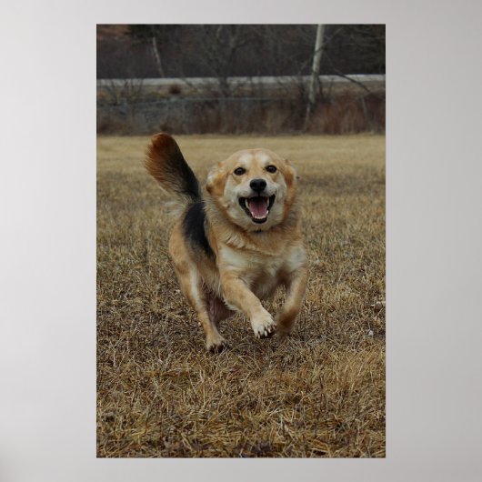 幸福 ポスター (正面)