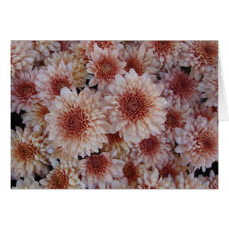 幸福/La textura de la alegriaaの質