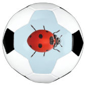 幸運なてんとう虫 サッカーボール (回転)