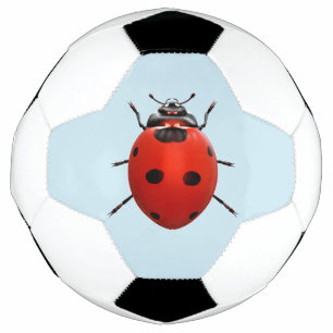 幸運なてんとう虫 サッカーボール