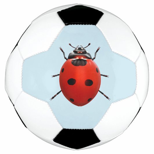 幸運なてんとう虫 サッカーボール (正面)
