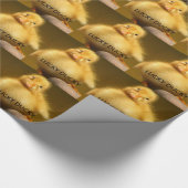 幸運なアヒルちゃん ラッピングペーパー (角)