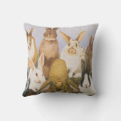 幸運なウサギ クッション (裏面)