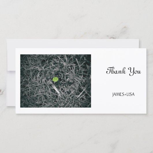 幸運なクローバー サンキューカード (正面)