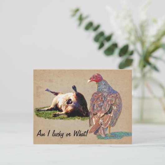 幸運な日 ポストカード (スタンド正面)