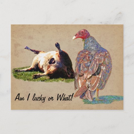 幸運な日 ポストカード (正面)