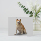 幸運な犬 ポストカード (スタンド正面)