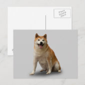 幸運な犬 ポストカード (正面/裏面)