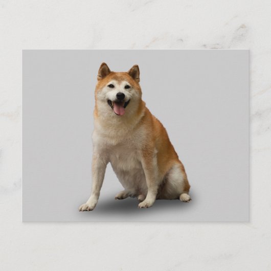 幸運な犬 ポストカード (正面)