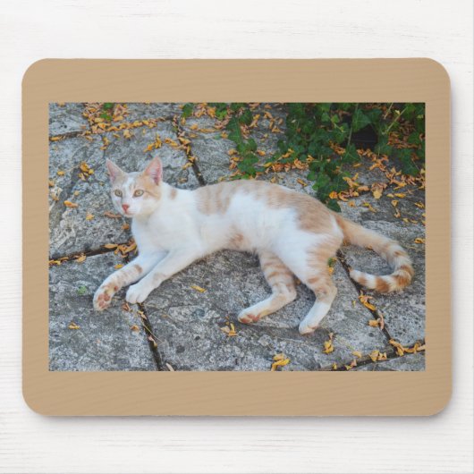 幸運な目覚め猫 マウスパッド (正面)