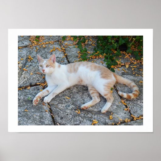 幸運な目覚め ポスター (正面)