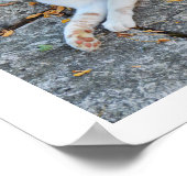 幸運な目覚め ポスター (角)