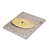 幸運な砂ドル タイル (側面)