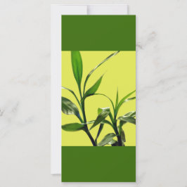 幸運な竹の緑の葉緑の保穏やかな読上で