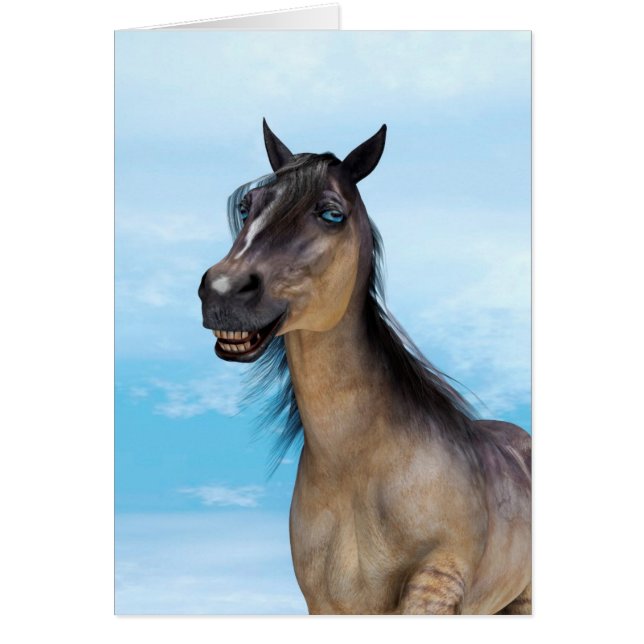 幸運な馬 (正面)