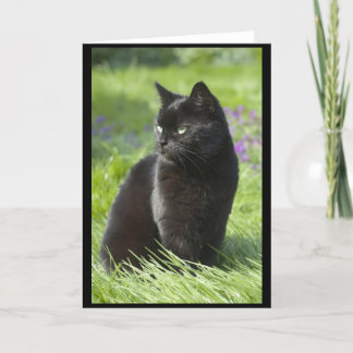 幸運な黒猫 カード