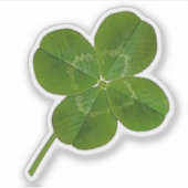 幸運な4葉のクローバーステッカー シール (正面)