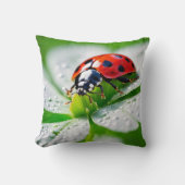 幸運のラディバグ クッション (正面)