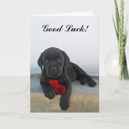 幸運のラブラドール子犬 カード (正面)