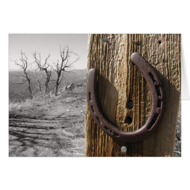 幸運の証 (正面横)