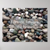 幸運は勇敢なポスターを好む ポスター (正面)