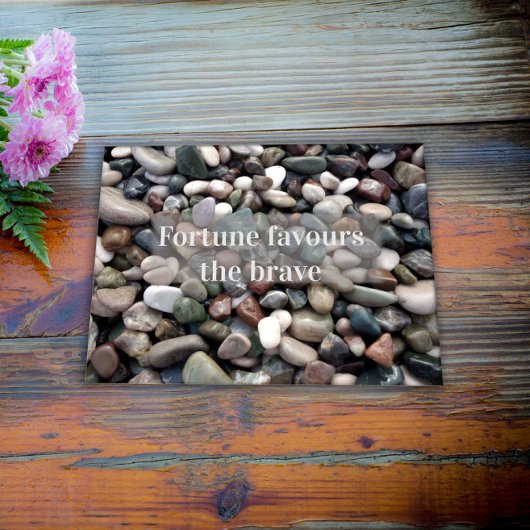幸運は勇敢なポスターを好む ポスター