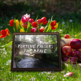 幸運は勇敢な諺の橋のポスターを支持する ポスター