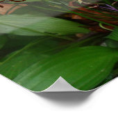 幸運は気まぐれな知恵のことわざポスター ポスター (角)