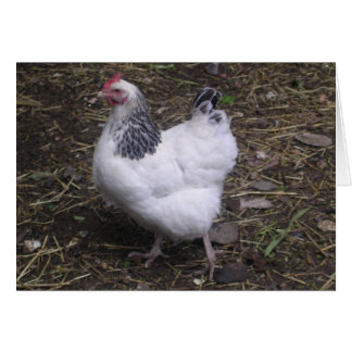 幸運軽いサセックス