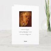 幸運 カード (裏面)