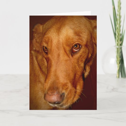 幸運 カード (正面)