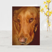 幸運 カード (黄色い花)