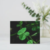 幸運 ポストカード (スタンド正面)